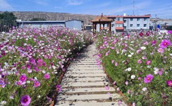 亚区产品A级乱码心仪的头任老公